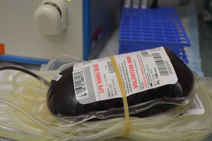 Sangue trasfusione