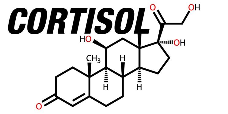 I cortisonici hanno la stessa struttura del cortisolo