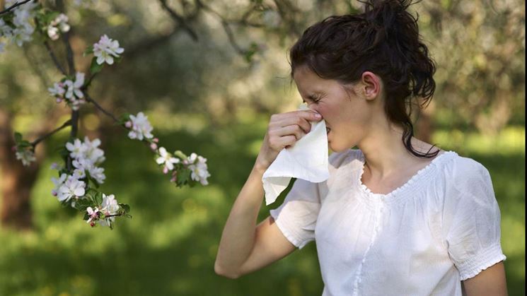 Pollini che provocano reazioni allergiche