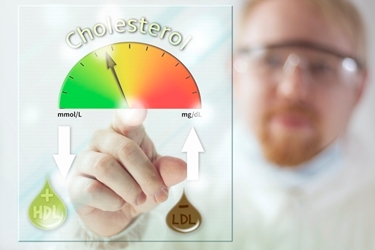 Rapporto LDL/HDL