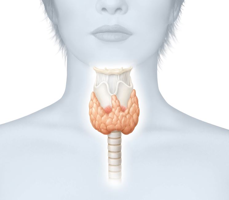 Ghiandola tiroide
