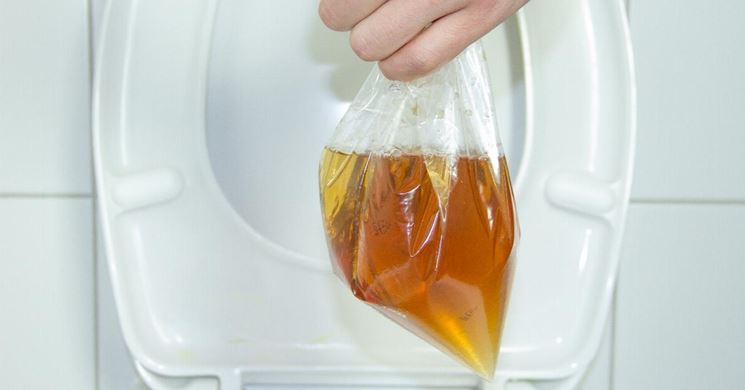 Raccogliere urina per l'urinoterapia
