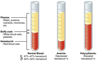 I corretti valori del sangue