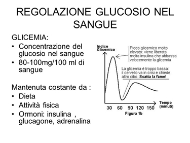 Importanza dell'equilibrio glicemico